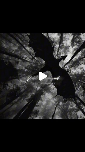 The Empyrean series on Instagram: "“Please tell me the name of the dragon who chose you” “𝓣𝓪𝓲𝓻𝓷𝓮𝓪𝓷𝓪𝓬𝓱” “and 𝓐𝓷𝓭𝓪𝓻𝓷𝓪𝓾𝓻𝓻𝓪𝓶“ “Both dragons?” “Yes” TikTok by @editsbychristiana #fourthwingrebeccayarros #fourthwingbook #ironflame #ironflamerebeccayarros #xadenriorson #violetsorrengail #bookstagram #xadenandviolet #andarna #tairn #tairnandandarna #empyreanseries #empyrean #dragon #violetandxaden #books #bookfourthwing #basgiath #basgiathwarcollege #basgiathcollege #rebeccayarros