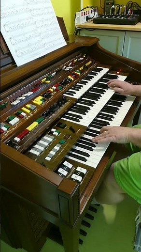 Edelweiss - played on Yamaha Electone D-85