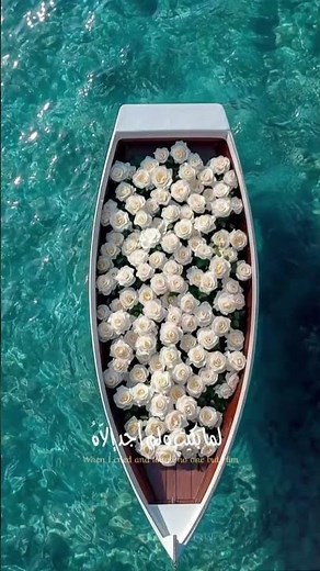 أنشودة جميلة 💛 أيقنت أن اللّٰه يجبر خاطريلما بكيت ولم أجد إلّا إلّاهُ.🌿