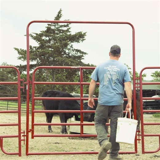 Built to withstand the test of time, it's more than just an entrance—it's a symbol of quality, durability, and the proud heritage of American farming and manufacturing. #tarter #AmericanCraftsmanship #RanchLife | Tarter
