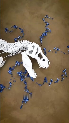 How Fossilization Works ?