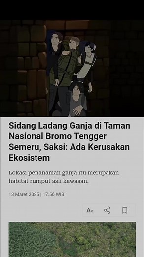 TEMPO.CO, Lumajang - Ada cerita tentang kerusakan ekosistem di sekitar lokasi penanaman ganja di kawasan konservasi Taman Nasional Bromo Tengger Semeru (TNBTS). Cerita itu terungkap dalam kesaksian polisi hutan dalam persidangan kasus ladang ganja di Pengadilan Negeri Lumajang, Selasa, 11 Maret 2025. Jaksa menghadirkan tiga orang saksi fakta dari TNBTS yang memberikan keterangannya secara daring. Mereka adalah Edwy Yunanto, polisi hutan dan staf kantor Balai Besar TNBTS; Yunus Tri Cahyono, polis