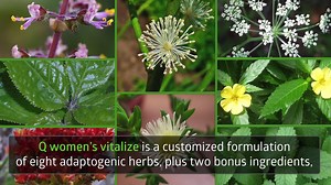 Energy is the great need of this modern age. Learn how you can maximize your energy and vitality with Q Women’s Vitalize. And stay tuned, men. We haven’t forgotten about your energy and vitality needs. Find more tools like these at the Summit. | Q SCIENCES