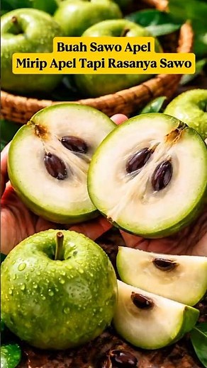 Sapodilla Apple‼️A Fruit That Looks Like an Apple But Tastes Like Sapodilla⁉️ Confusing‼️