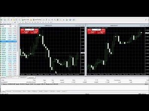 How to Hedge Positions on MetaTrader 4 - MT4 Tutorials