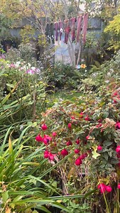 371 reactions · 21 comments | Happy #socks! As I looked out of the kitchen window I was struck by how my woolly socks hanging on the washing line looked like flowers and their colours blended in perfectly with the garden palette! #thoughtsofanartist #lifeofanartist #artist #observation #woolly #knitting | Art in Textiles | Facebook