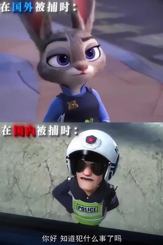 你好 知道犯什么事了吗