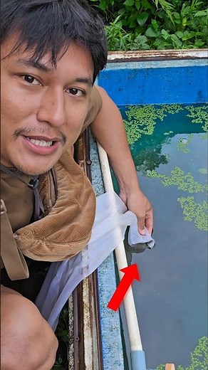 NYUAPIN 5000 ANAK TOMAN GOBLIN🥶