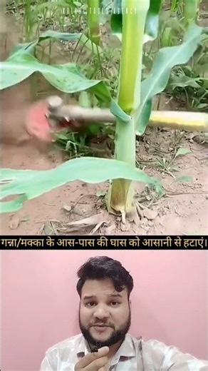 घास काटने वाली मशीन // Grass Cutting Machine For Garden/Lawn/Outdoor #machine #shorts