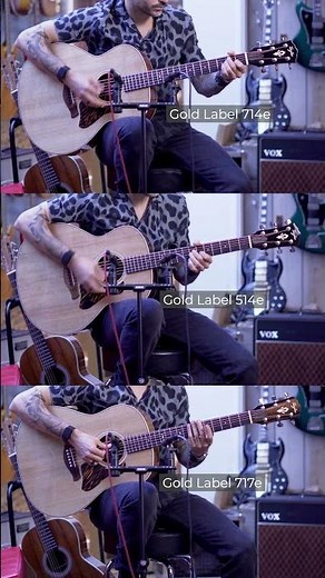 Taylor Gold Label comparison. Which one would you prefer?