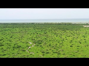 Locals left waiting on singer Akon's dream Senegalese city | AFP