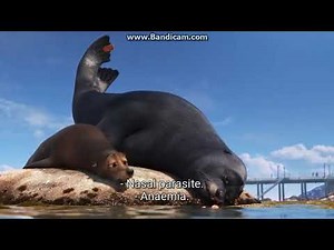Finding Dory 10 - Sea Creatures- Comparatives and Superlatives