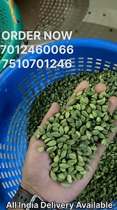 294K views · 682 reactions | Cardamom wholesale market 諾 #maharashtra #mumbai #rajasthan #kolkata #jaipur #reels #spices #cardamom #bangalore #chennai #tea #spicy #job #madhyapradesh #nagpur #kerala #hydrabad #ahemdabad #lucknow #kanpur #vadodara #bandhavgarh #ludhiana | cardamom plantation | Facebook