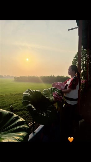 ….🌞…..