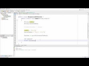 Asignación de Valores en Java