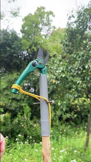 Perfect DIY Tree Pruning Tool 🔥