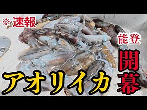 能登アオリイカ開幕！ティップランで釣りまくれ！初心者必見・・簡単に爆釣【マイボート】