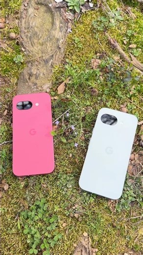 Pixel 10a vs Pixel 9a Camera Macro Test