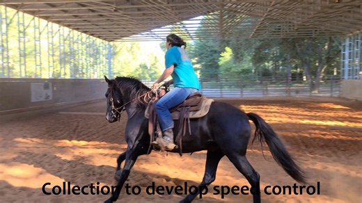 Developing correct body carriage | Tim Anderson Horse Training