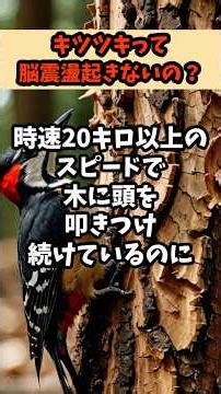 なんでキツツキは高速で木をつついても脳震盪にならないの？