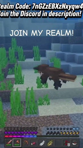 Realm Code:7nGZzEBXzNxyqw4 #bedrockrealm #minecraft #joinminecraftrealm