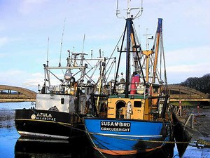 Skipper International Aberdeen 2019 | Commercial Fishing | Fish Focus