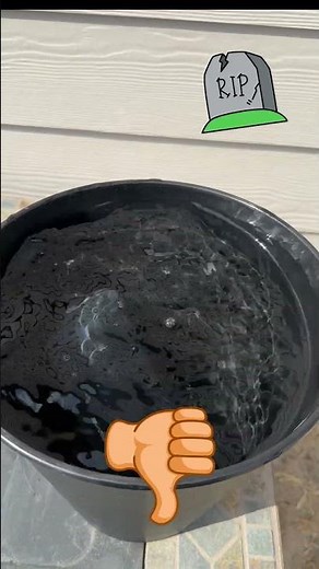 Float Test! Soundcore Motion 300 vs Bose Flex! #bose #soundcore #speakers #outdoors #tech #bluetooth