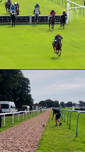Big shoutout to our head groundsman Paul, who sprung into action to rescue a very startled pigeon who’d taken a wrong turn onto the track, straight into the path of some very horses! Pigeon safe. Paul, our hero. 👏 | Fontwell Park Racecourse