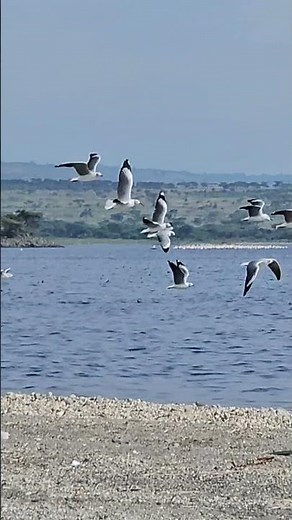 Lake Shalla, the Deepest one in Ethiopia #lakeshalla #ethiopia #africa