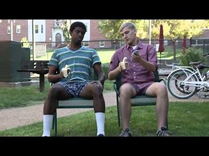 Guardzilla Apartment HD