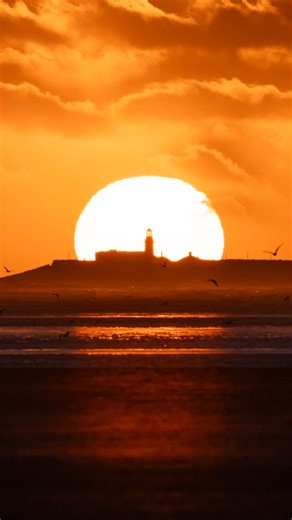 Fred Kelly on Instagram: "Sunrise this morning over Dun Laoghaire. Shout out to TJ and his dog Lucy for starring in the silhouette at the end of the video 🌅 #sunrise #dunlaoghaire 📍Apologies for the terrible audio 🔈 I didn’t have time to set up my microphone 🫣"
