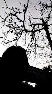 Smart card update karane ke liye nikle hum dono #youtubeshorts #minivlog #youtubeuploader