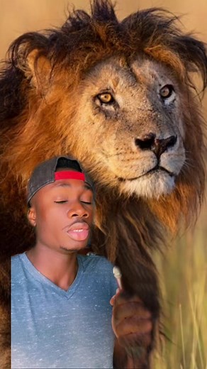 Yeah I’m going to hell for that one joke #lion#lionking#moreyouknow#funfact