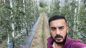 138K views · 7.9K reactions | Winter pruning Results. | AVO Fruit Tree Nursery | Facebook