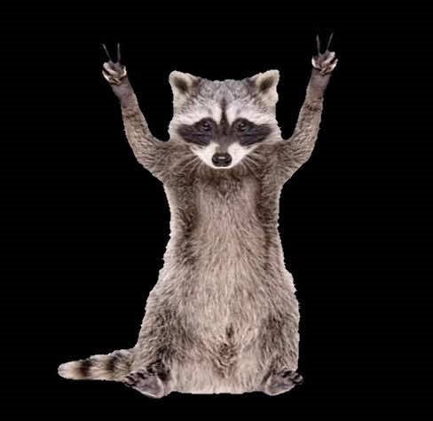 BILLZO MY BELOVED #fyppppppppppppppppppppppp #billzoedit #billzo_ #dsmp #tik_tok