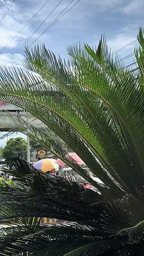 #fypシ゚viral #toyotalipa #toyotavios2024