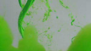 Free Cloud Videos: 4K & HD | No Watermark | Download Now