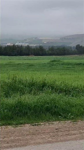 Nature from Algerie 😍