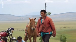 740K views · 29 reactions | Өнөө цагийн ШИЛИЙН САЙН ЭР Адуу мал...