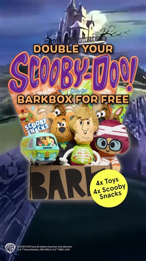 Welcome back to BarkBox, Scooby-Doo™! This box may be haunted by double the toys and treats (upgraded for free!), but it’s no match for your favorite dog detective. Join today and you’re guaranteed to get Scooby-Doo™ Halloween as your first BarkBox, with exciting new themes every month. | BarkBox