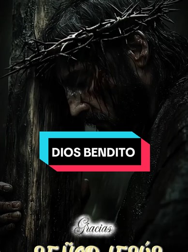 Jesús, mi refugio y agradecimiento diario