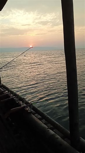 land java (@land.java)’s videos with suara asli - Siputra pancing