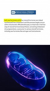 102K views · 1.6K reactions | Everything you thought you knew about cholesterol? Wrong. The truth might just flip your diet—and your health—upside down. Watch this before your next blood test. | Miduty | Facebook