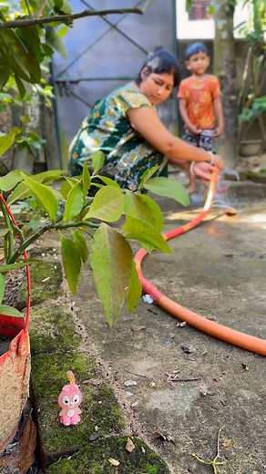 Daily blog 🥰🥰🥰 | Orpita Talukder