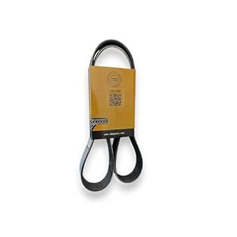 V-Ribbed Belt for Cummins 4B, 6B Series 3288724, 3911586