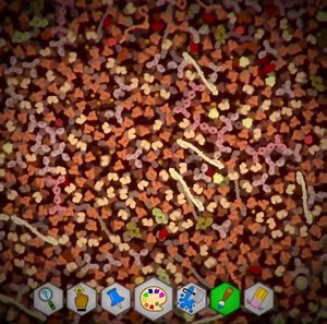 9K views · 403 reactions | Do you want to make your own molecular...