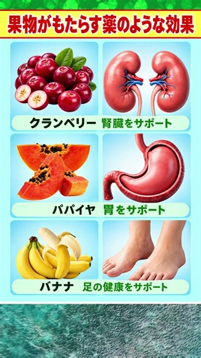 フルーツを健康の味方に！毎日の果物が体の各器官をサポートする理由 🍎🍊
