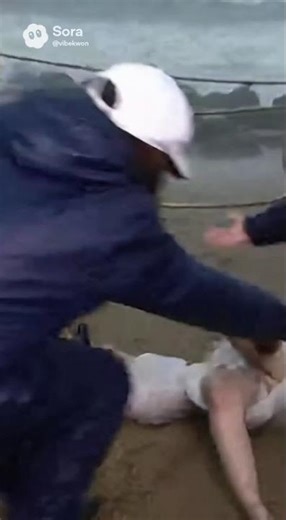 강풍에 날아온 문어가 얼굴을 정면 강타! Huge Octopus Slaps News Reporter During Storm #강풍 #뉴스사고 #기상캐스터 #문어 #방송사고