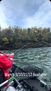 Some beautiful fish around for day one with these gentlemen, March dates Available! March 9/10/11/12 🎣 Call or text to book at 541-761-7797 Blair’s Guide Service #guidedfishing #fishingguide #pnwfishing #wildsteelhead #fishinglife @willieboats @fish_shimano_north_america @talonrods @yakimabaitco | Blair’s Guide Service