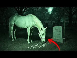 Security Camera Caught Something Visiting the Grave Every Night at 3AM for 8 Years